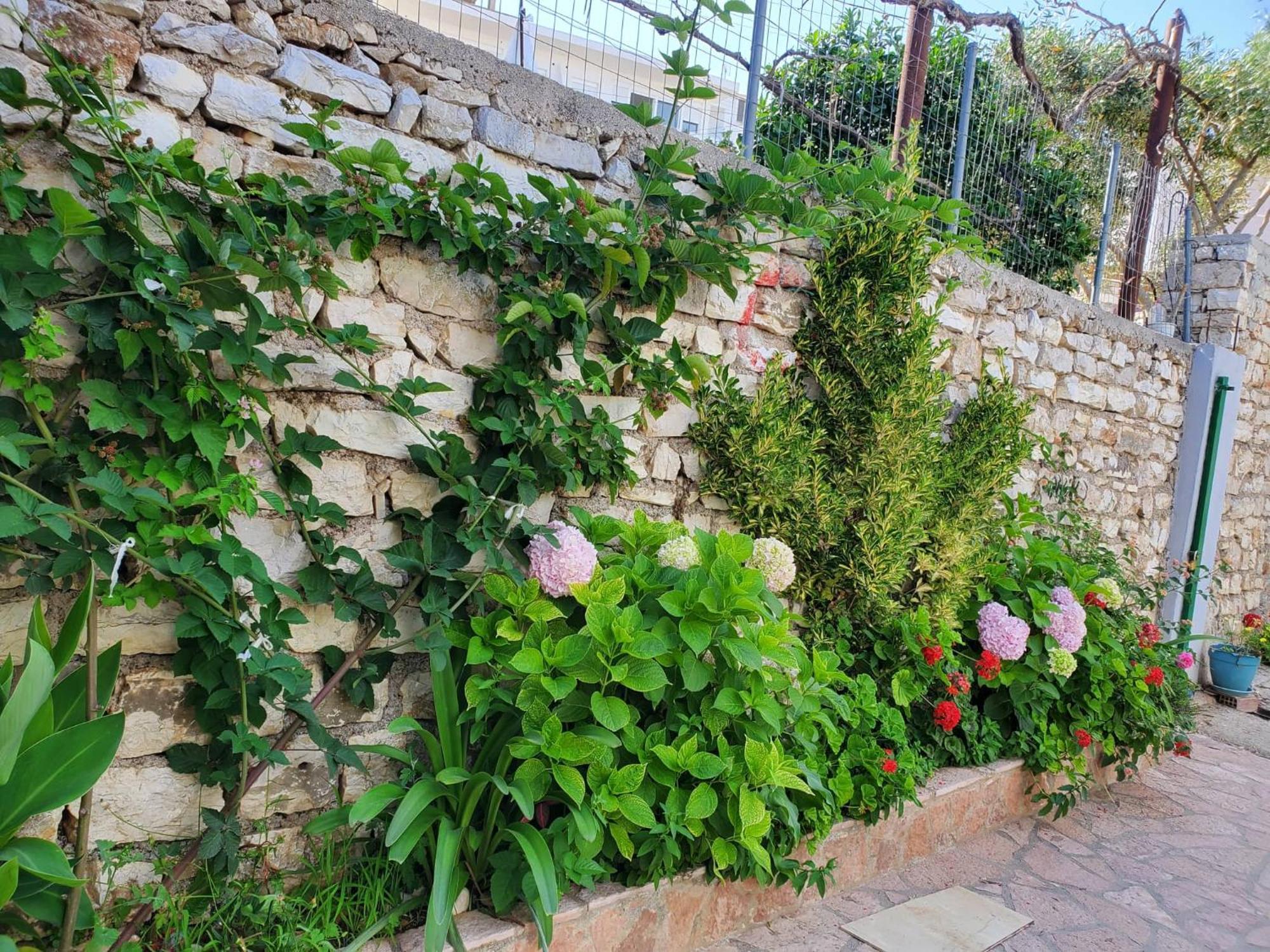 Guest House Sandri Sarandë Exteriér fotografie